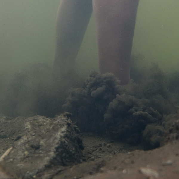 freshwater1